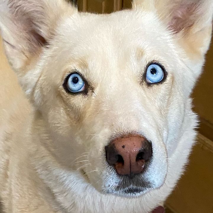 Profile Picture of •Debbie manuele• (@deb_jim) on Tiktok