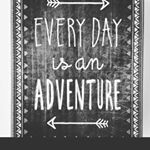 Profile Picture of rob!n (@robinvesely) on Instagram