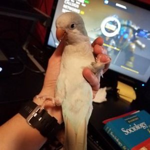 Profile Picture of Jeff Lynde (@JeffLynde12) on Twitter