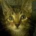Profile Picture of Constance Wilson (@connie.wilson.940) on Facebook
