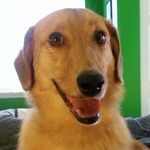 Profile Picture of Chesterton Michael Leber (@chestertonleber) on Instagram