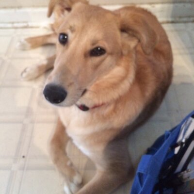 Profile Picture of Catherine Lawrence (@clawcoolcat45) on Twitter