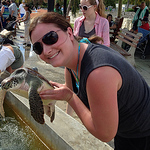 Profile Picture of Amanda Willis (@Missy12784) on Flickr