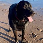 Francesca Duncan - Instagram Profile Picture of Francesca Duncan (@francesca.d470) on Instagram