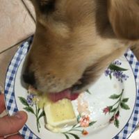 Neil Storey - Quora Profile Picture of Neil Storey (@neil-storey-13) on Quora