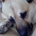 Profile Picture of Jacob Rummelt (@jacob.rummelt.7) on Facebook