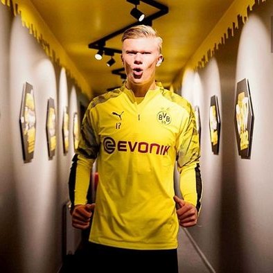 Eric Haaland - Twitter Profile Picture of Eric Haaland (@EricHaaland) on Twitter