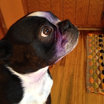 Profile Picture of Clinton Watson (@wcwatson82) on Flickr