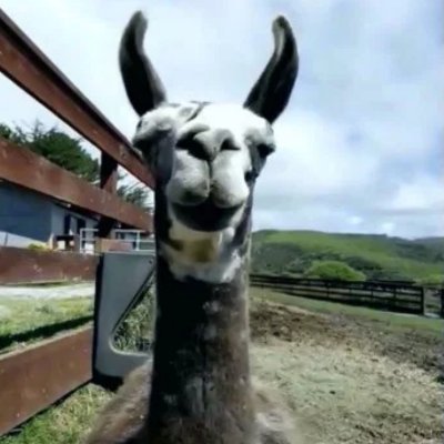 Jo Littler - Twitter Profile Picture of Jo Littler (@littler_jo) on Twitter