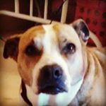 Profile Picture of christopher (@christopherscarber1014) on Instagram