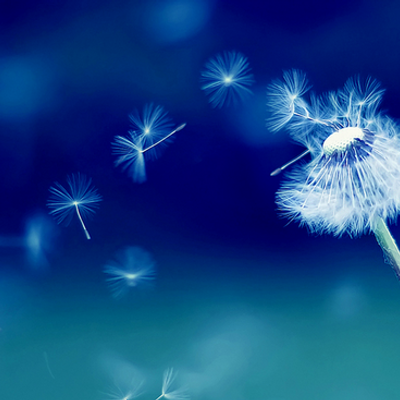 Profile Picture of Kendra Walters (@kendraism) on Twitter