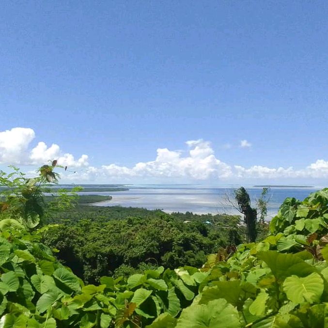 Profile Picture of Jason (@jason_wong80) on Tiktok