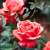 Profile Picture of Mariah Duncan (@mariahduncan5537) on Youtube