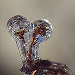 Profile Picture of Marie Tanguay (@Marie Tanguay pr?sence ?pisodique !) on Flickr