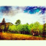 Profile Picture of Gregg Greer (@stokedonogden) on Instagram