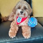 Profile Picture of Hazel Brown (@hazel.brown.923) on Instagram