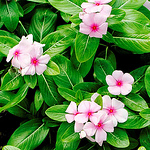 Profile Picture of Wu Jerry Wu (@nuli2014) on Flickr