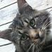 Profile Picture of Edgar Galloway (@edgar.galloway.5) on Facebook