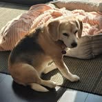 Profile Picture of David Jung (@David-Jung) on Facebook