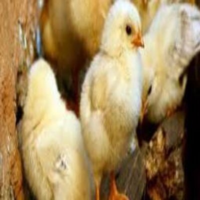 Michael Keene - Twitter Profile Picture of Michael Keene (@MichaelKeene7) on Twitter