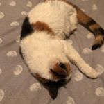 Profile Picture of Deborah Keay (@deborahkeay) on Instagram