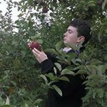 Profile Picture of Tom Slack (@tawmiz) on Instagram