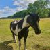 Profile Picture of Aimee Holmes (@Aimee-Holmes) on Facebook