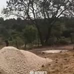 Ivan Tyler Barajas Dunlap - Facebook Profile Picture of Ivan Tyler Barajas Dunlap (@kingheart701) on Facebook