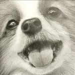 Matsuzawa Hiroshi - Instagram Profile Picture of Matsuzawa Hiroshi (@matsuzawa_hiroshi) on Instagram