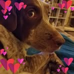 Profile Picture of Claire Greenwald (@claire.greenwald.35) on Facebook