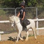 Profile Picture of 🇬🇧layla Samujh🇬🇧 (@layla._equestrian) on Instagram