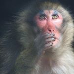 Profile Picture of violet simpson (@violetsimpson365) on Instagram