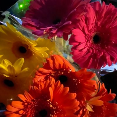 Profile Picture of Nhon Phan (@nhonphan8) on Twitter