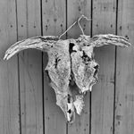 Profile Picture of Cory Cleveland (@corycleveland8466) on Instagram