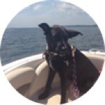 Profile Picture of Caitlin Maynard O'Neill (@caitlinam34) on Instagram