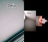 Profile Picture of   Janet Gallagher..♥️... (@jantgallagher1) on Tiktok