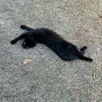 Charles Emmons - Facebook Profile Picture of Charles Emmons (@Charles-Emmons) on Facebook