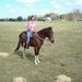Profile Picture of Terri Hytree (@thytree) on Pinterest