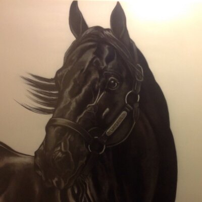 Profile Picture of Robert Boni (@@nwbloodstock) on Twitter