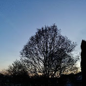 Profile Picture of Aaron Booker (@aaronbooker561) on Youtube