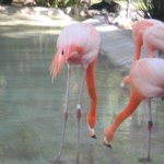 Profile Picture of Maureen Parsons (@maureenrita) on Instagram