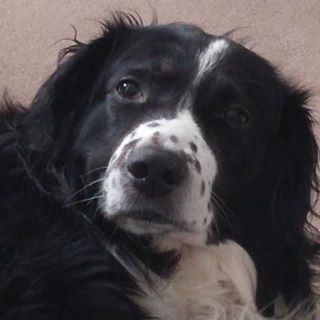 Profile Picture of Kathleen Chapman (@kathleen.chapman.77582) on Facebook