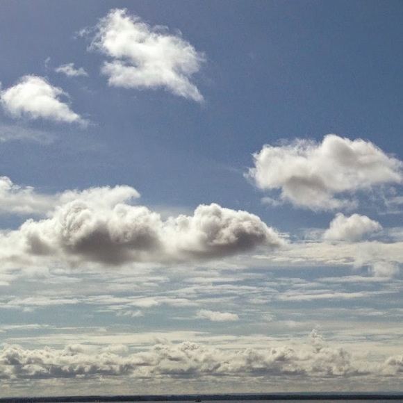 Maria Petosa - Poshmark Profile Picture of Maria Petosa (@mariarp99) on Poshmark