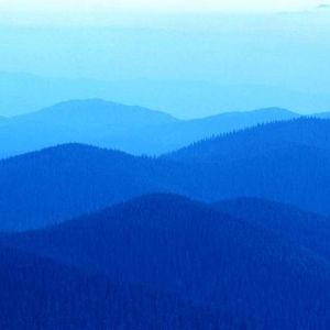 Profile Picture of Albert Carmona (@185914661) on Myspace