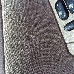 Profile Picture of Robert Krauss (@GoTimeInteriors) on Twitter