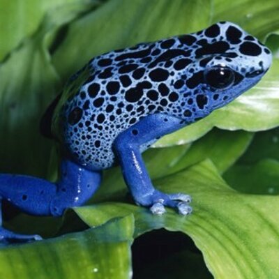 Profile Picture of Ruth Hudson (@ruhudson1956) on Twitter