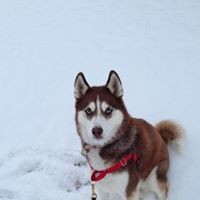 Profile Picture of Jeff Swartz (@jeff-swartz-10) on Quora