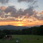 Harrison - Instagram Profile Picture of Harrison (@harry.redkey) on Instagram