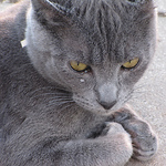 Profile Picture of Hugo Jesús Mion (@hugo jesús mion) on Flickr