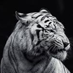 Profile Picture of Brian Rasmussen (@brianrasmussen2000) on Instagram